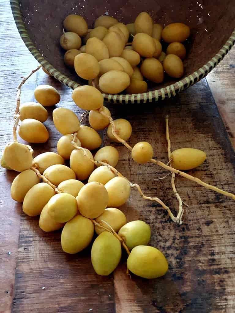 تصویر 3 از قیمت خرید خرما برحی زرد + فروش ویژه